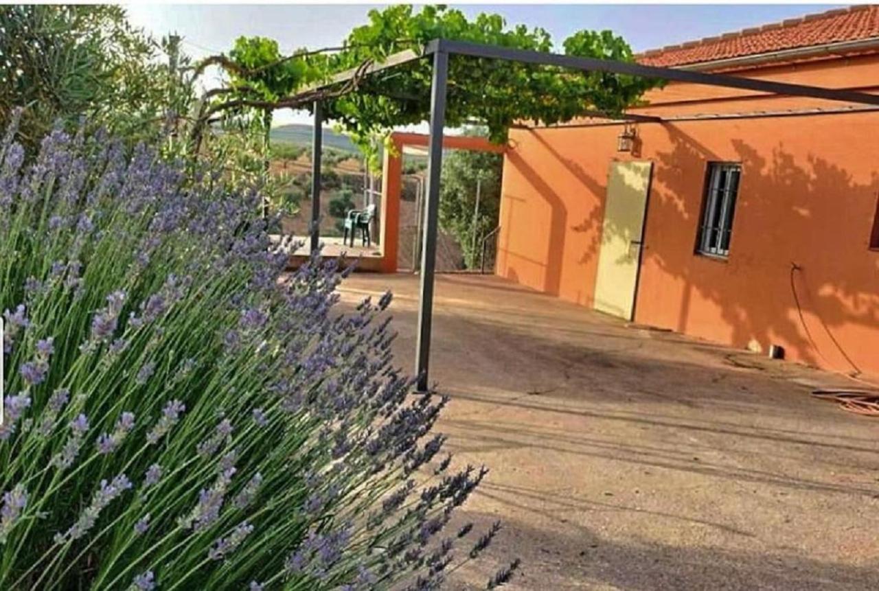 Cortijo Puente Alhama Villa Алхама де Гранада Екстериор снимка